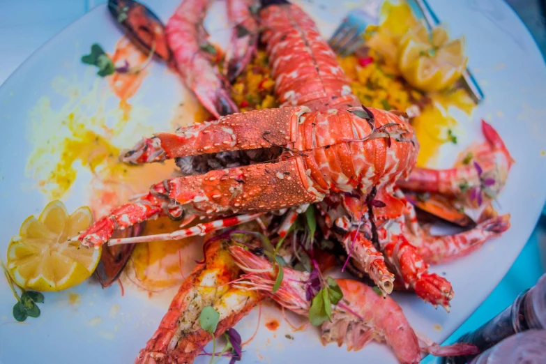 a close up of a plate of food on a table, by Daniel Lieske, crustacean, 🦩🪐🐞👩🏻🦳, striking colour, view from below