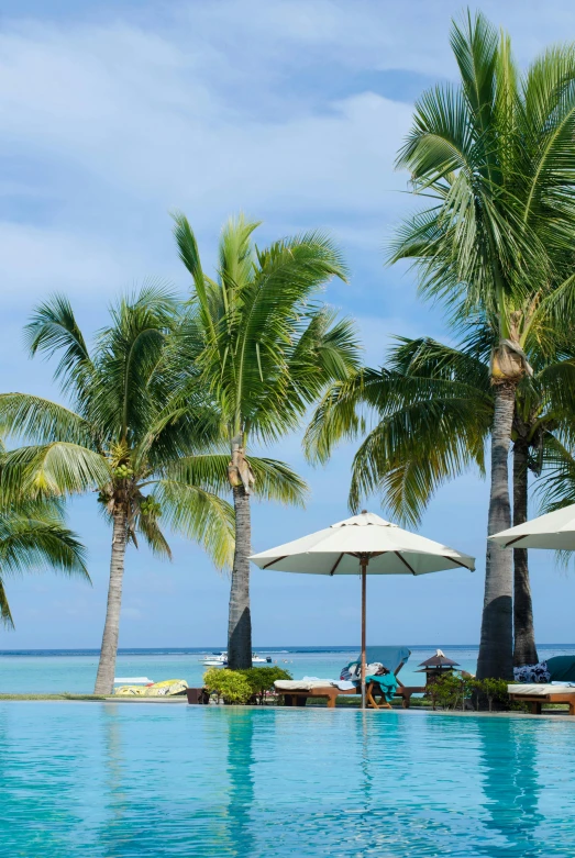 a large swimming pool surrounded by palm trees, relaxing on the beach, infinity concentric pool, umbrellas, f / 3