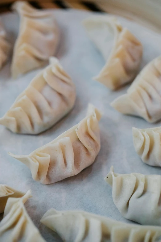 a pan filled with dumplings sitting on top of a table, inspired by Mi Fu, unsplash, mingei, folds of fabric, close up front view, new zealand, no cropping