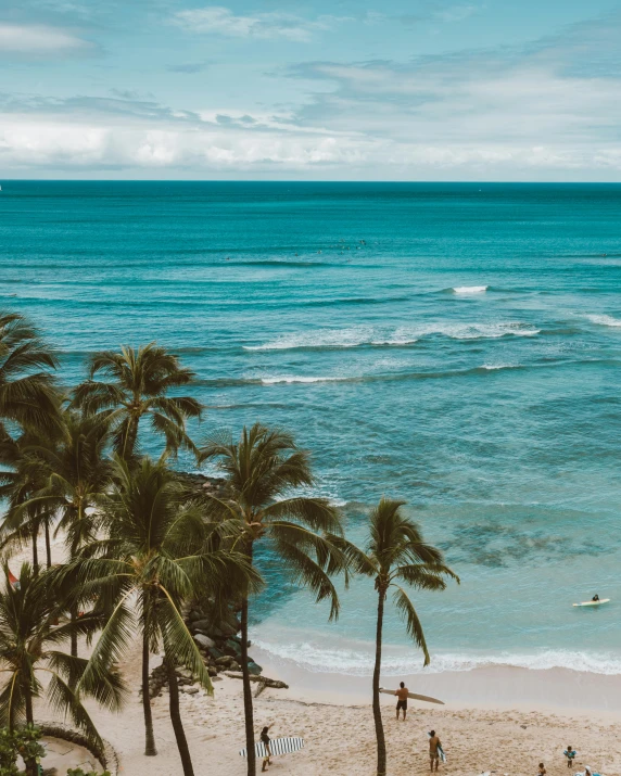 a group of people standing on top of a beach next to the ocean, a palm tree