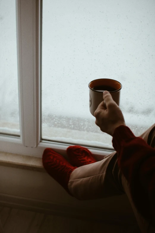 a person sitting on a window sill holding a cup, winter storm, red and brown color scheme, cold brew coffee ), lgbtq