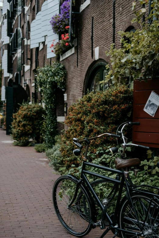 a bicycle parked on the side of a brick road, by Jan Tengnagel, pexels contest winner, with soft bushes, amsterdam, a quaint, college