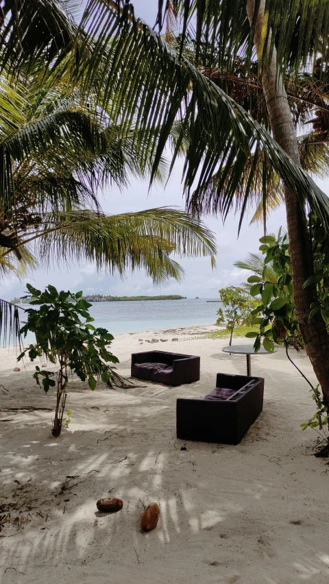 a couple of couches sitting on top of a sandy beach, coconut trees, lush garden surroundings, island, instagram picture