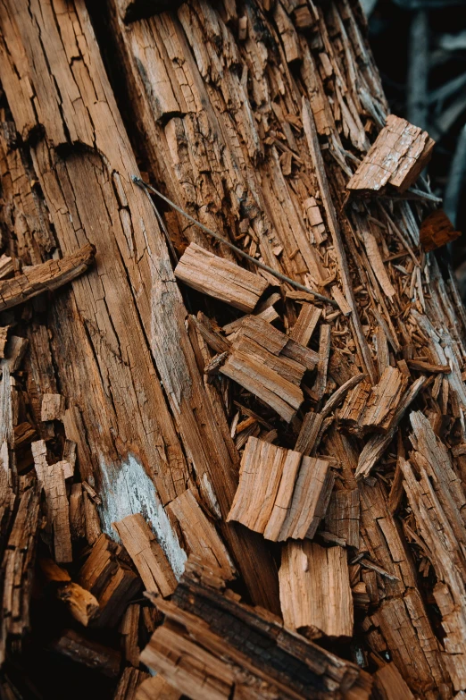 a pile of wood sitting on top of a tree, by Jacob Toorenvliet, trending on unsplash, close-up print of fractured, synthetic materials, cinnamon, promo image