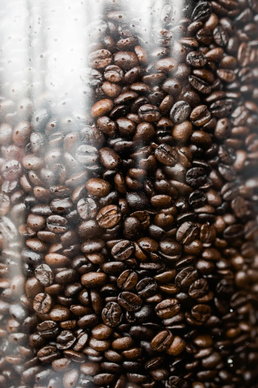 a pile of coffee beans sitting on top of a table, inside a glass jar, up-close, detailed product image, filling the frame