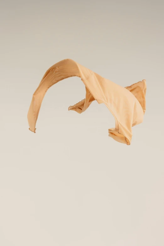 a cat that is flying through the air, an abstract sculpture, by Joel Shapiro, unsplash, conceptual art, cloth accessories, raw sienna, scp-049, made of paper