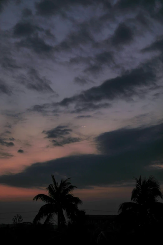 a couple of palm trees sitting on top of a lush green hillside, a picture, unsplash, hurufiyya, beautiful dusk sky, ☁🌪🌙👩🏾, the night sky is a sea, aesthetic clouds in the sky