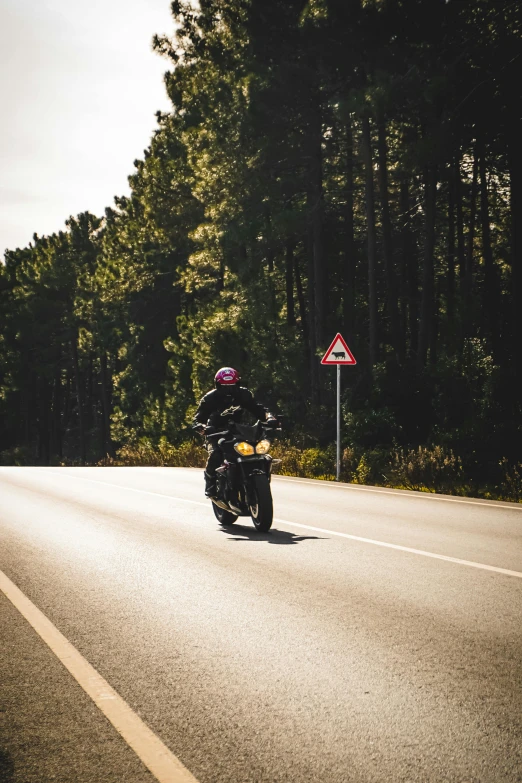 a man riding on the back of a motorcycle down a road, road between tall trees, profile image