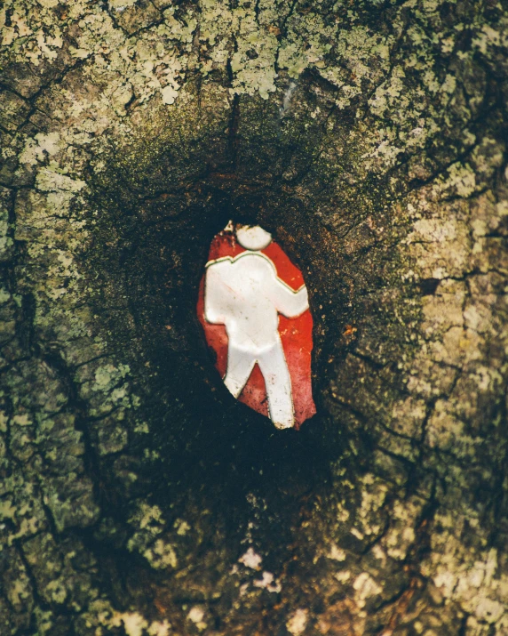 a red and white sticker on a tree trunk, an album cover, by Attila Meszlenyi, pexels contest winner, wears tiny spacesuit, grotto, red cape, lonely human walking