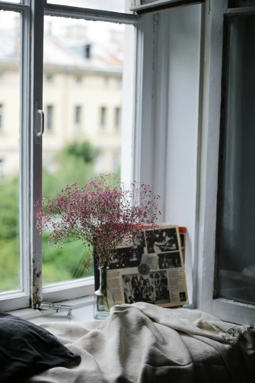 a vase of flowers sitting on top of a window sill, inspired by Anka Zhuravleva, unsplash, old photobook, soviet apartment, reading a newspaper, gypsophila