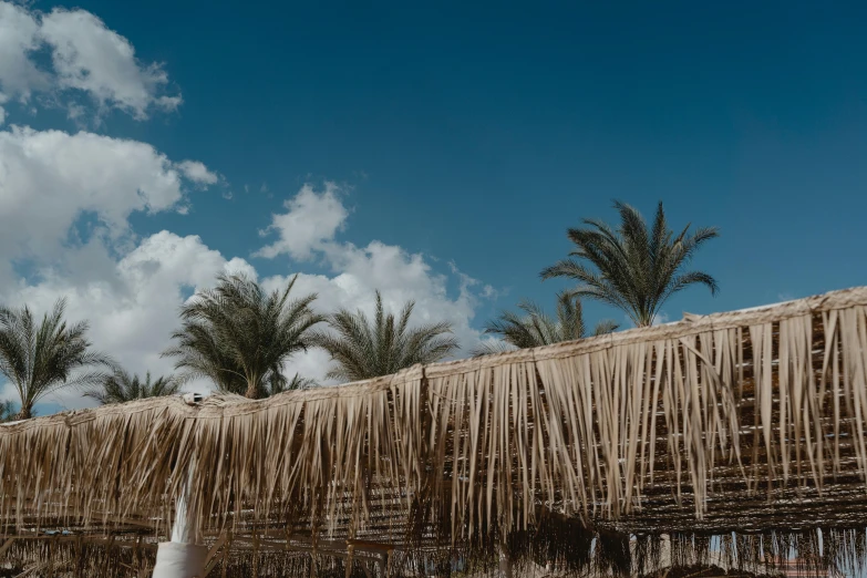 a row of straw umbrellas sitting on top of a sandy beach, by Nathalie Rattner, trending on unsplash, in egypt, roof with vegetation, avatar image, palace floating in the sky