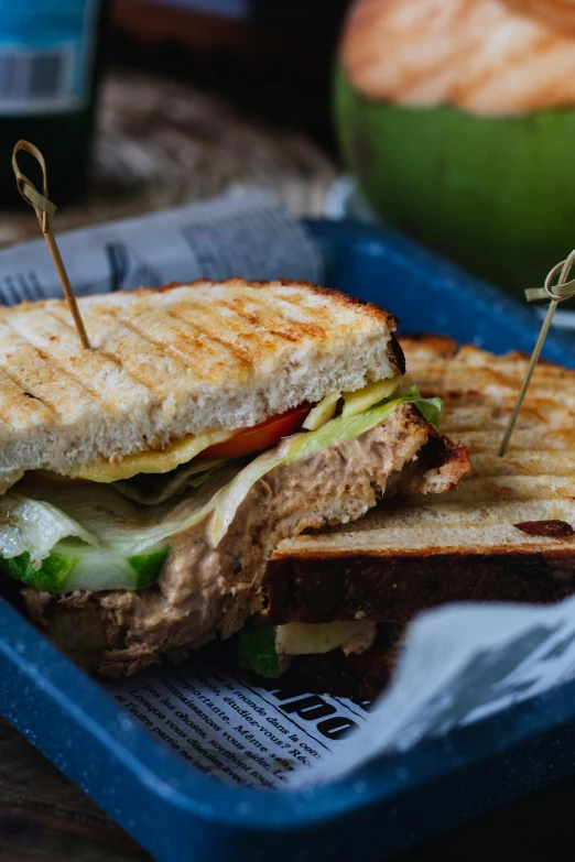 a sandwich sitting on top of a blue tray, pexels contest winner, kete butcher, thumbnail, cooked, rich texture