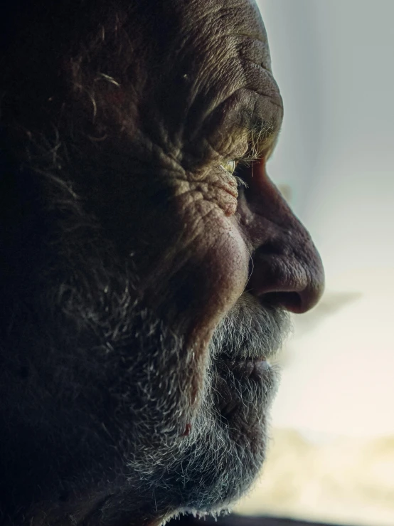 a close up of a person looking out a window, a character portrait, inspired by Lee Jeffries, profile image, neanderthal people, he is about 7 0 years old, with the sun shining on it