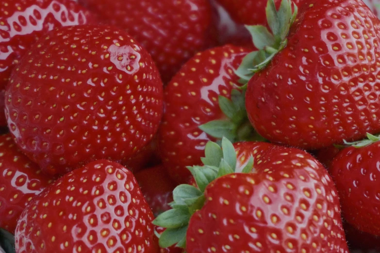 a close up of a bunch of strawberries, zoomed out to show entire image, shot with sony alpha 1 camera, digital image, no cropping