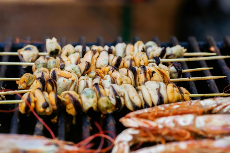 a close up of skewers of food on a grill, by Lee Loughridge, unsplash, hurufiyya, shells and barnacles, pichacu cooks a squid, food stall, slide show