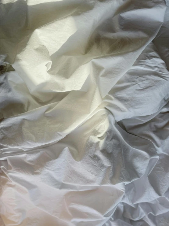 a dog laying on top of a bed covered in white sheets, by Rebecca Horn, unsplash contest winner, lyrical abstraction, made of silk paper, sun puddle, ignant, abstract detail