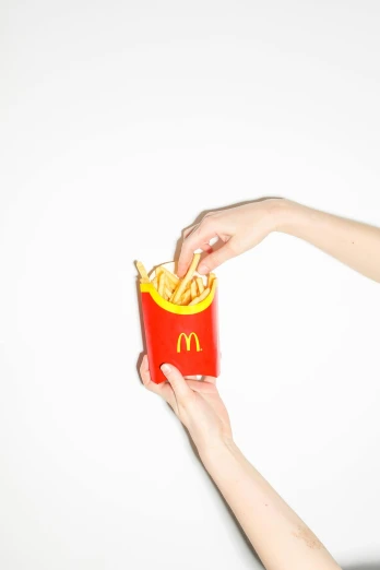 a woman holding a can of french fries, unsplash, photorealism, medium format, happy meal toy, minimalist lines, sleek hands