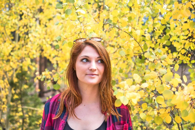 a woman standing in front of a tree with yellow leaves, reddish hair, wearing a flannel shirt, curious, promo image