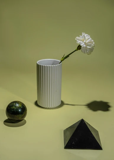 a vase that has a flower in it, a still life, inspired by Robert Mapplethorpe, unsplash, still life of white xenomorph, diagonal lines, detailed product image, kami