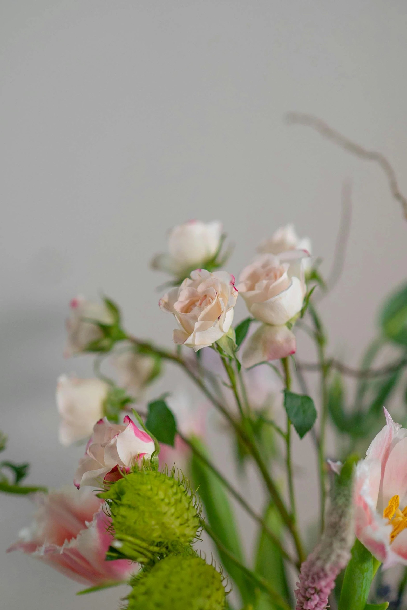 a vase filled with pink and white flowers, inspired by Cy Twombly, unsplash, sparse detail, pastel roses, romantic greenery, zoomed in