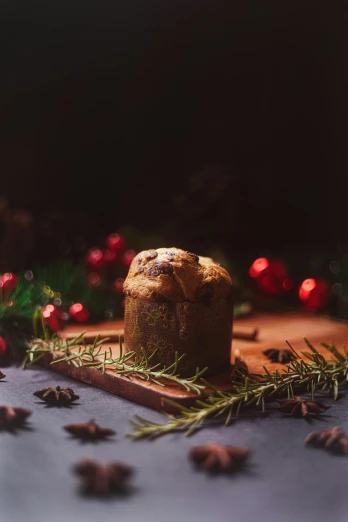 a loaf of bread sitting on top of a cutting board, a still life, unsplash, renaissance, christmas night, square, high quality photo, panoramic
