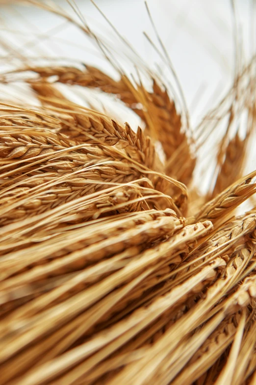 a close up of a bunch of wheat, a digital rendering, by David Simpson, trending on pexels, renaissance, mineral grains, spiraling, award - winning crisp details ”, high light on the left