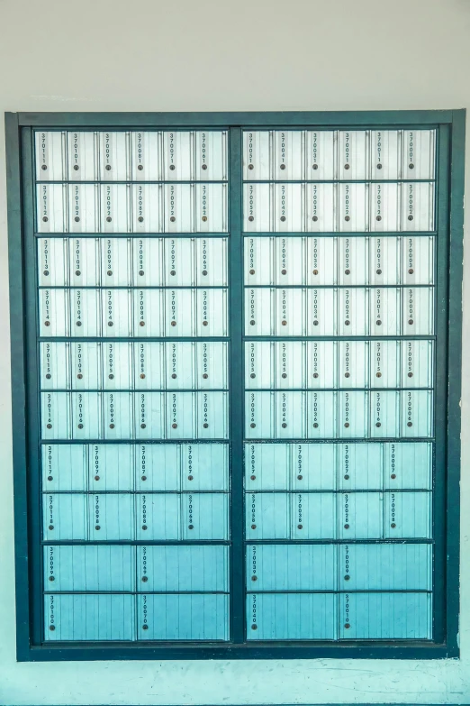 a cat sitting on the floor in front of a window, giant crypto vault, large vertical blank spaces, letterbox, teal gradient