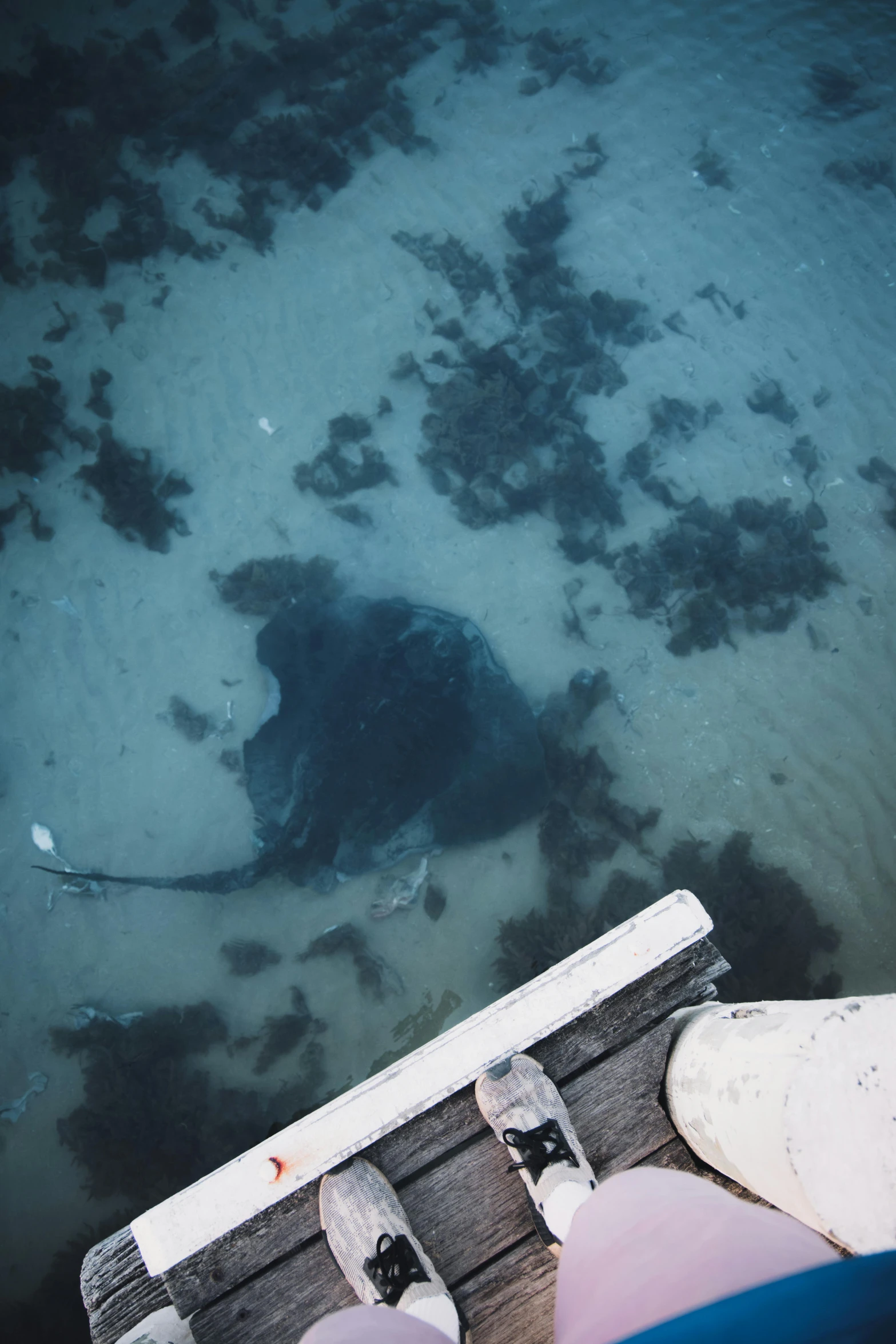 a person standing on a dock next to a body of water, top down view, oil slick in the water, sea king, at the bottom of the ocean