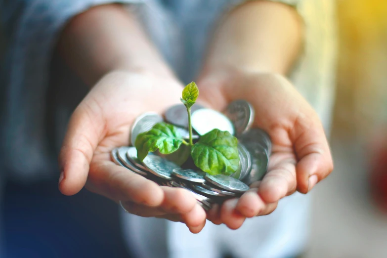 a person holding a small plant in their hands, a digital rendering, pexels contest winner, renaissance, coins, sustainability, mint leaves, thumbnail