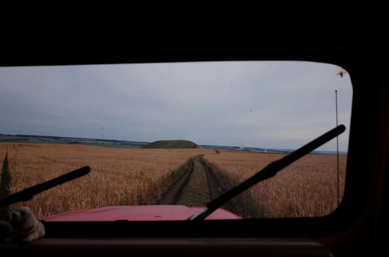 a view of a field from inside a vehicle, by David Donaldson, land art, trailing off into the horizon, red grass, head-to-shoulder, farms