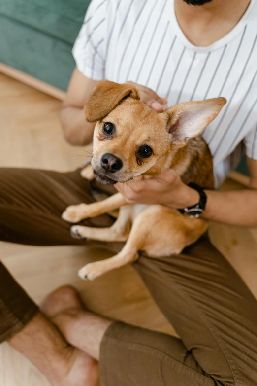 a man sitting on the floor holding a small dog, trending on pexels, renaissance, cinnamon skin color, corduroy, zoomed in, large ears