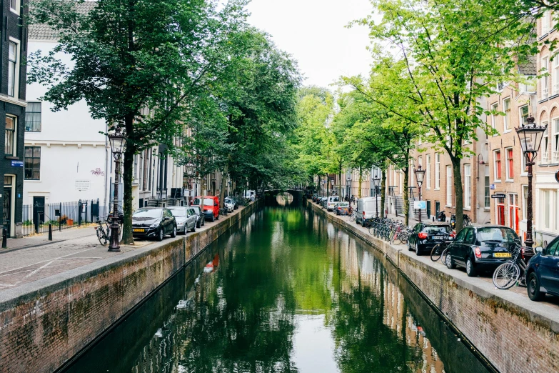 a river running through a city next to tall buildings, by Maria van Oosterwijk, pexels contest winner, big green trees, canal, celebrating, thumbnail