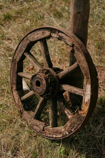a wooden wagon wheel sitting on top of a grass covered field, ((rust))