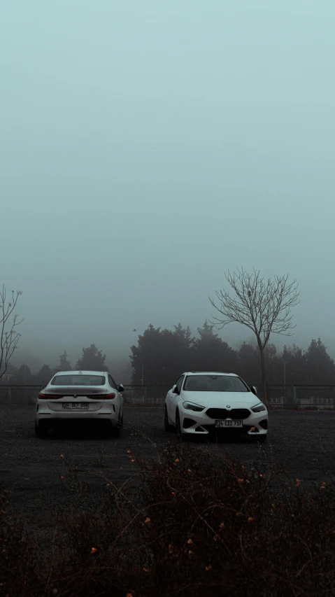 two cars parked in a parking lot on a foggy day, postminimalism, high quality photo, realistic photo”