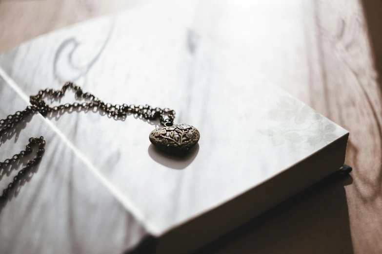 a necklace sitting on top of a book on a table, pexels contest winner, heart, smooth tiny details, chocolate, platinum jewellery