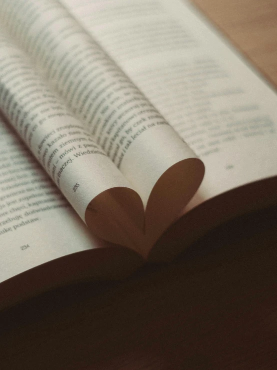 an open book sitting on top of a wooden table, unconditional love, screenwriter, trending photo, bookshelf