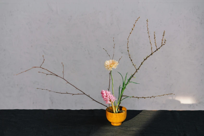 a vase with some flowers in it on a table, inspired by Tani Bunchō, unsplash, sōsaku hanga, pink and yellow, willow plant, ground - level medium shot, various posed