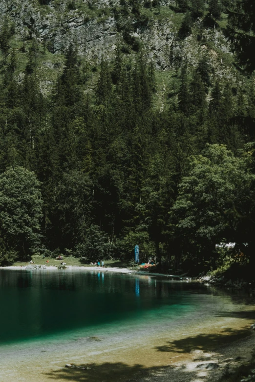 a large body of water surrounded by trees, pexels contest winner, dark green water, summer camp, switzerland, vintage vibe