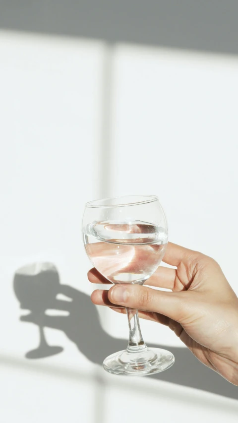 a person holding a glass of water in their hand, by Nicolette Macnamara, trending on pexels, on a pale background, made of drink, reflecting light, flat minimalistic