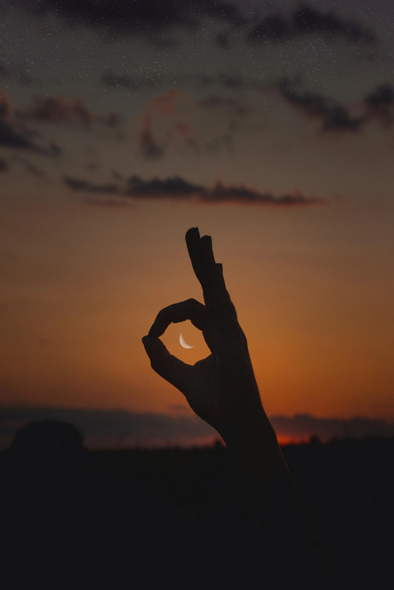 a person holding up a peace sign with a sunset in the background, an album cover, by Attila Meszlenyi, trending on pexels, romanticism, during lunar eclipse, crescent moon, cute photo, shaped picture