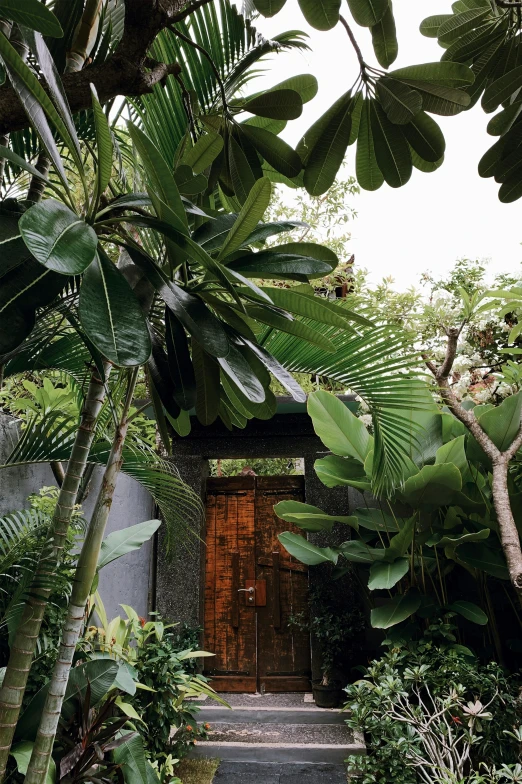 a wooden door sitting in the middle of a lush green garden, sumatraism, dwell, monstera deliciosa, exterior