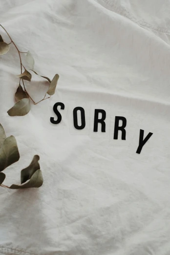 a white shirt with the word sorry written on it, trending on unsplash, still life photo of a backdrop, porcelain organic, cotton fabric, facepalm