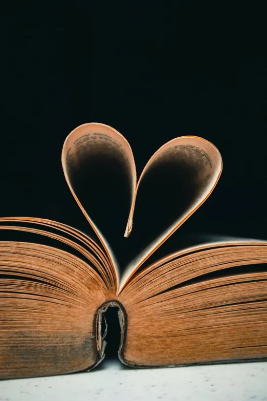 an open book with two pages in the shape of a heart, by Adam Chmielowski, pexels contest winner, portrait of a big, brown, celebration, 15081959 21121991 01012000 4k