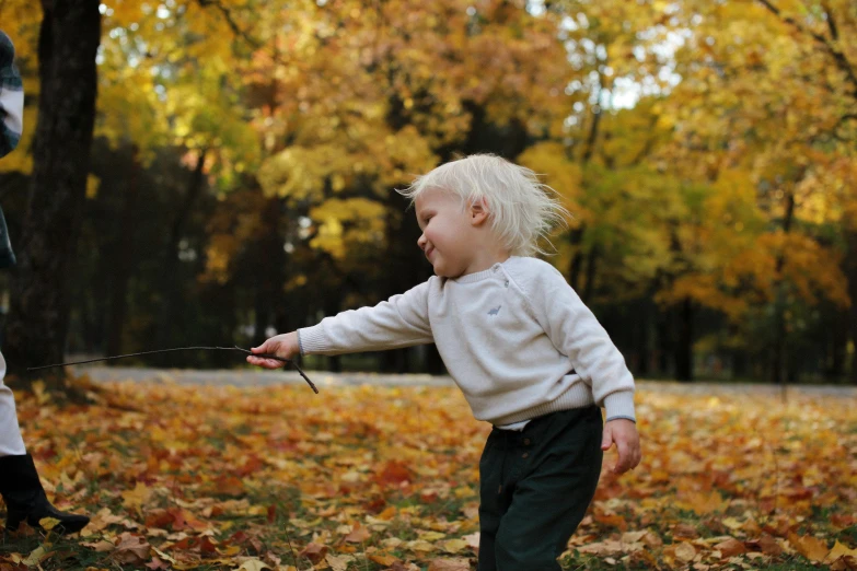 two children playing with a kite in a park, by Jaakko Mattila, pexels contest winner, visual art, autumn leaves, blond boy, thumbnail, 2 years old