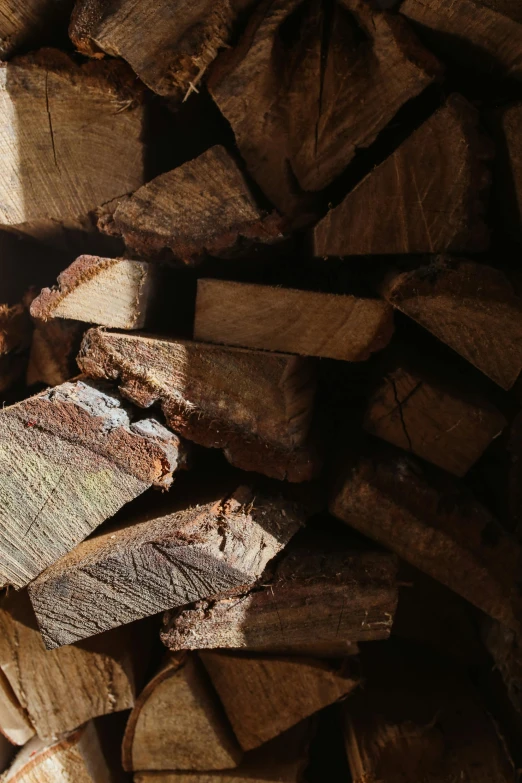 a pile of firewood stacked on top of each other, an album cover, unsplash, renaissance, dark. no text, brown, nose made of wood, close up image