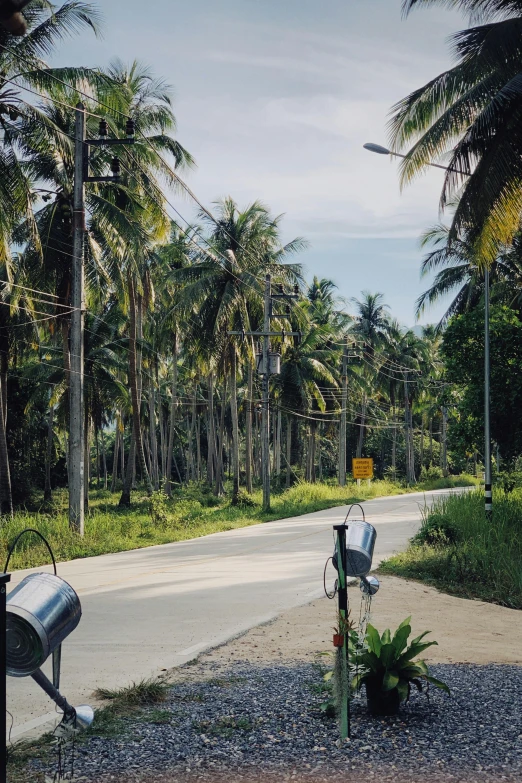 a couple of mail boxes sitting on the side of a road, coconut trees, thawan duchanee, lush surroundings