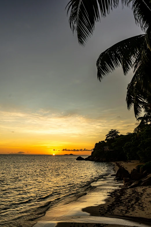 a boat sitting on top of a beach next to the ocean, the sunset, a palm tree, cliffside, beachfront