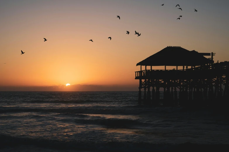 a group of birds flying over a body of water, pexels contest winner, romanticism, relaxing on the beach at sunset, a wooden, profile image, photographic print