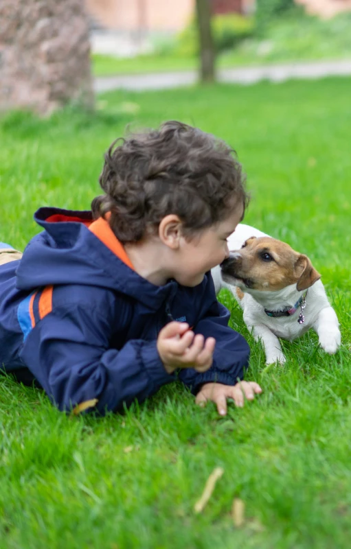a little boy that is laying in the grass with a dog, a picture, pixabay, happening, kissing each other, jack russel dog, thumbnail, high quality photo