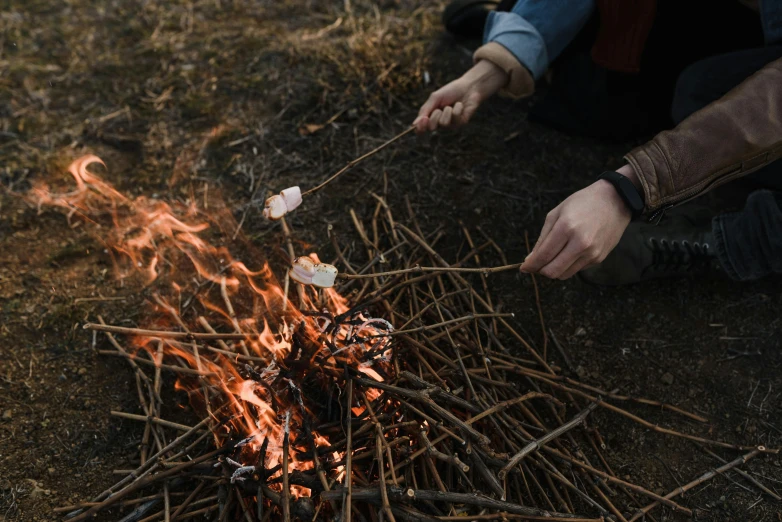 a person roasting marshmallows over a campfire, by Jessie Algie, pexels contest winner, land art, rectangle, lachlan bailey, thumbnail, spring season